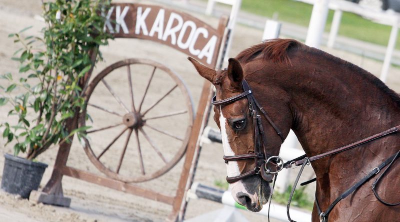 Rezultati II. kola Karoca GP serije i Karoca Dressage Cupa te III. kola Croatia Cupa