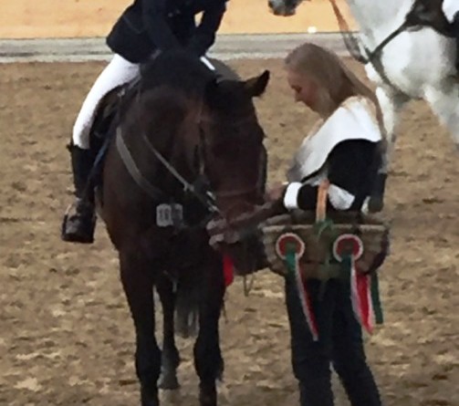 Odlični rezultati naših preponaša na Magna Racino turniru u Austriji